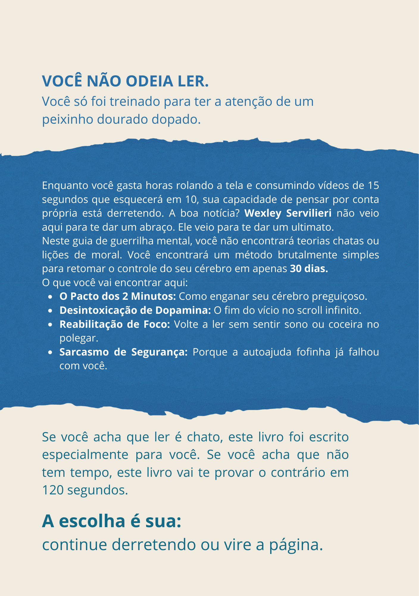 O Livro para Quem Odeia Livros