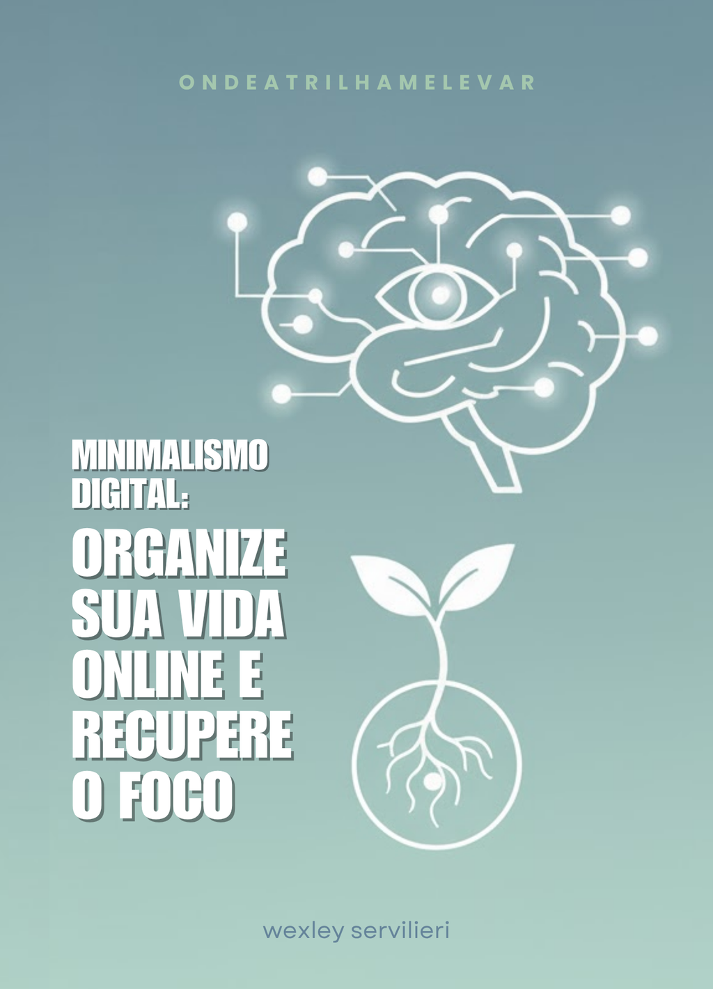 MINIMALISMO DIGITAL - Organize sua Vida Online e Recupere o Foco