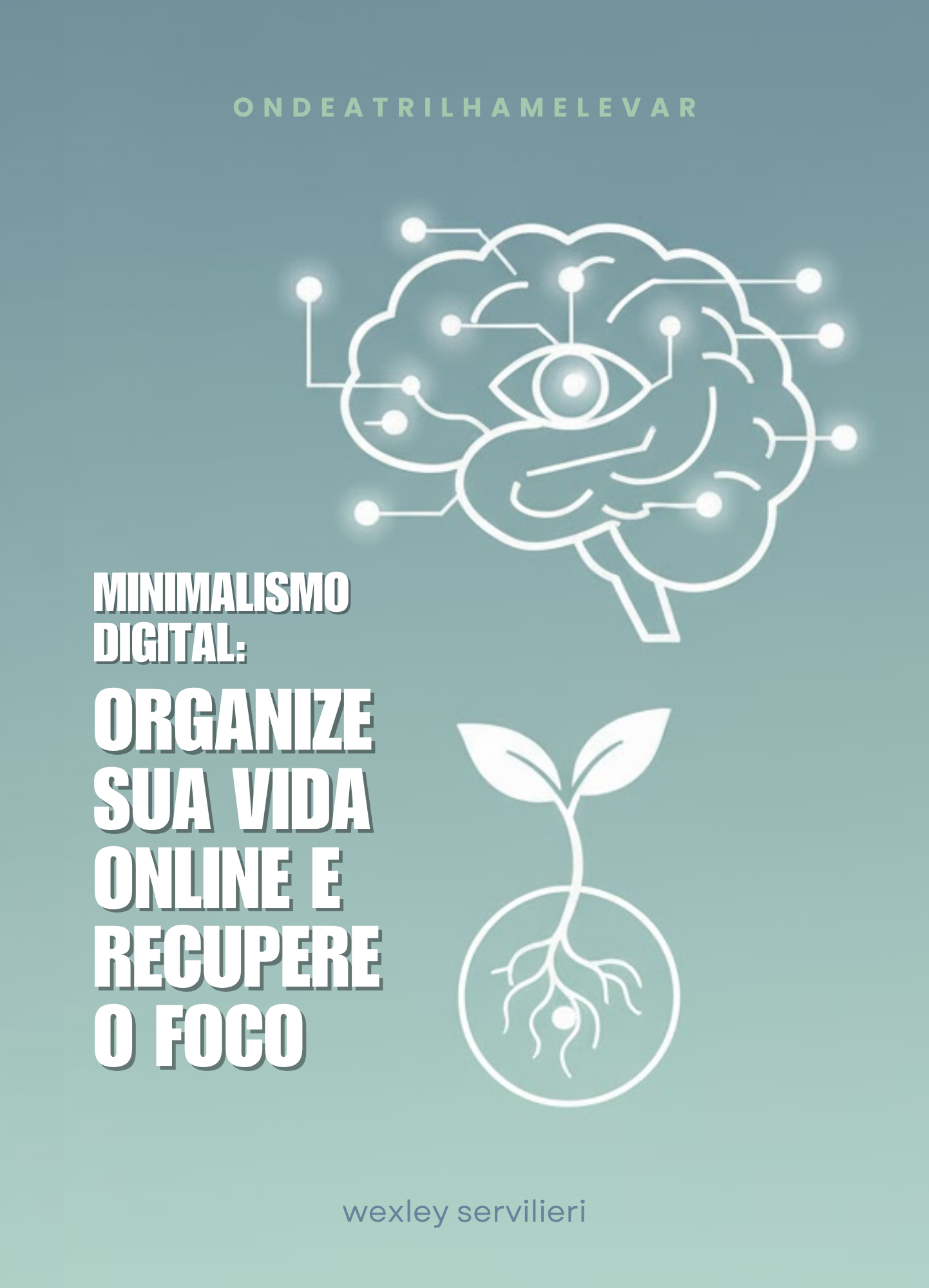 MINIMALISMO DIGITAL - Organize sua Vida Online e Recupere o Foco