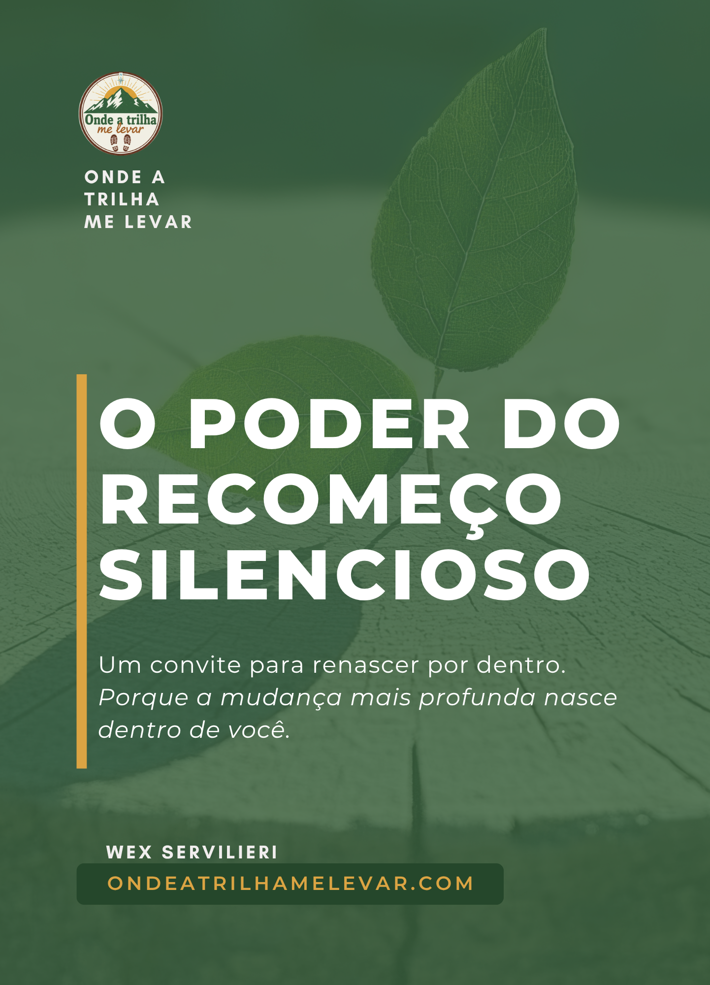 O Poder do Recomeço Silencioso