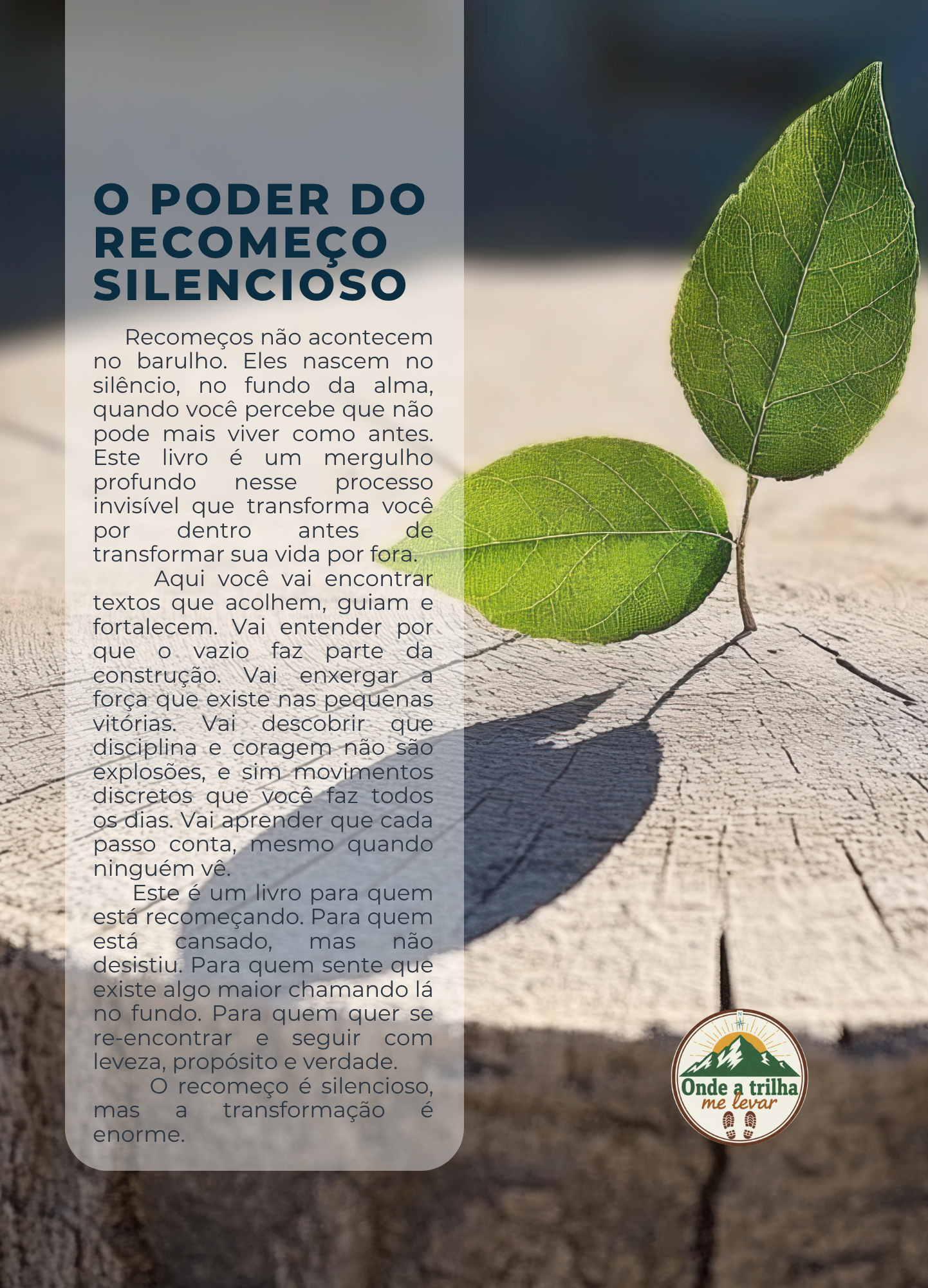 O Poder do Recomeço Silencioso